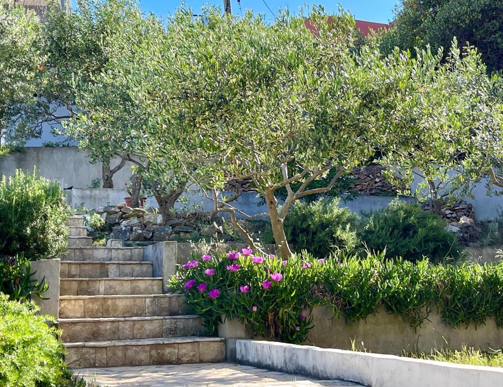Bua - Beautiful Seafront Apartment Trogir